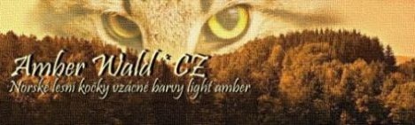 Amber Wald CZ