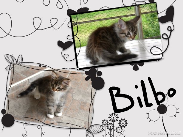 Bilbo