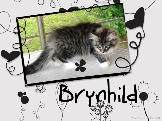 Brynhild