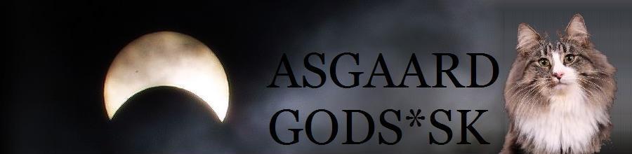 Asgaard God*Sk